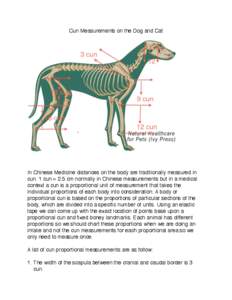 Cun Measurements on the Dog and Cat  In Chinese Medicine distances on the body are traditionally measured in cun. 1 cun = 2.5 cm normally in Chinese measurements but in a medical context a cun is a proportional unit of m