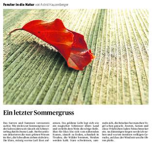 Fenster in die Natur von Astrid Hauzenberger  Ein letzter Sommergruss Das Surren und Summen verstummt sachte. Wie ein letzter Sommergruss vor der kalten Jahreszeit tänzelt ein Schmetterling durchs bunte Laub. Herbstzeit