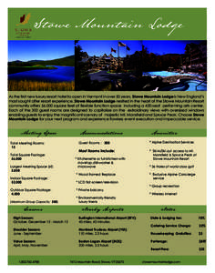 Stowe Mountain Resort / Stowe /  Vermont / Stowe / Mount Mansfield / Larix laricina / Lamoille County /  Vermont / Vermont / American International Group