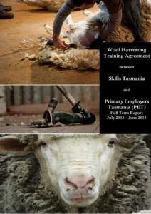 Wool Harvesting Training Agreement