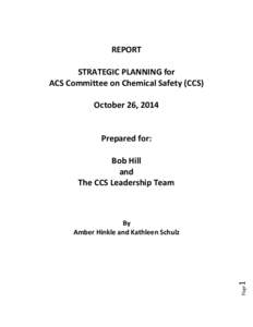 REPORT STRATEGIC PLANNING for ACS Committee on Chemical Safety (CCS) October 26, 2014 Prepared for: Bob Hill