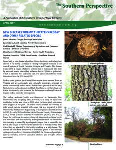 The  Southern Perspective A Publication of the Southern Group of State Foresters APRIL 2007