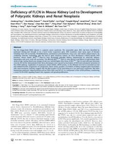 Deficiency of FLCN in Mouse Kidney Led to Development of Polycystic Kidneys and Renal Neoplasia Jindong Chen1*, Kunihiko Futami1,2, David Petillo1, Jun Peng3, Pengfei Wang4, Jared Knol5, Yan Li1, SokKean Khoo1,6, Dan Hua