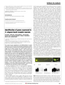 Genomics / RNA / Gene expression / WormBase / Green fluorescent protein / Ridge / Caenorhabditis elegans / Gene / Martin Chalfie / Biology / Molecular biology / Molecular genetics