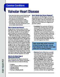 Common Conditions  Valvular Heart Disease •	 Heart valves help control movement of blood through the heart; valvular heart disease can develop when heart valves are not working properly.