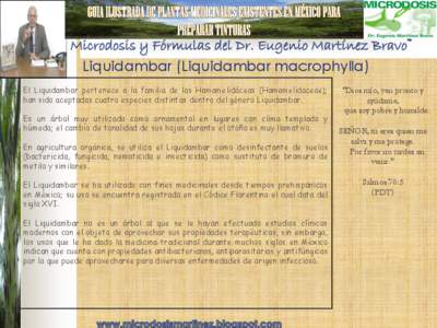 Microdosis y Fórmulas del Dr. Eugenio Martínez Bravo™ Liquidambar (Liquidambar macrophylla) El Liquidambar pertenece a la familia de las Hamamelidáceas (Hamamelidaceae); han sido aceptadas cuatro especies distintas 