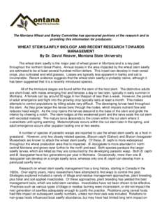 The Montana Wheat and Barley Committee has sponsored portions of the research and is providing this information for producers: WHEAT STEM SAWFLY BIOLOGY AND RECENT RESEARCH TOWARDS MANAGEMENT By Dr. David Weaver, Montana
