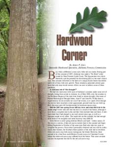 Hardwood Corner By James P. Jeter, Statewide Hardwood Specialist, Alabama Forestry Commission