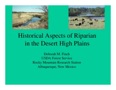 Historical Aspects of Riparian in the Desert High Plains Deborah M. Finch USDA Forest Service Rocky Mountain Research Station Albuquerque, New Mexico
