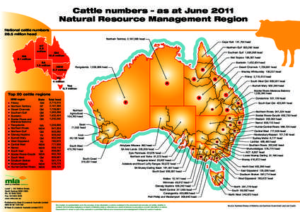 Cattle-Numbers Map_as at June 2011