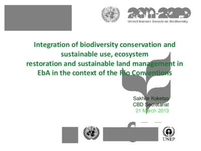 Integration of biodiversity conservation and sustainable use, ecosystem restoration and sustainable land management in EbA in the context of the Rio Conventions  Sakhile Koketso