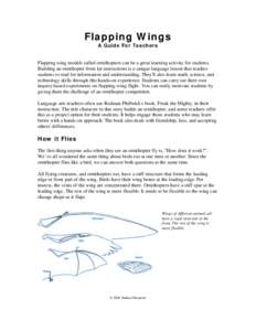 Flapping Wings A Guide For Teachers Flapping wing models called ornithopters can be a great learning activity for students. Building an ornithopter from kit instructions is a unique language lesson that teaches students 
