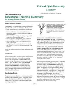 CMG GardenNotes #614  Structural Training Summary for Young Shade Trees Dosage: How much to remove