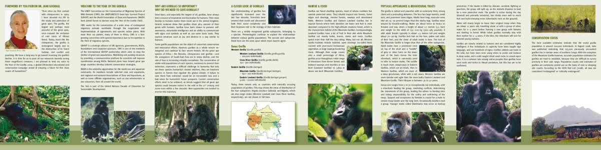Foreword by YOG Patron Dr. Jane Goodall  Welcome to the Year of the Gorilla “Ever since my first contact with chimpanzees in 1960,