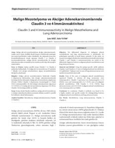 Özgün Araştırma/Original Article  Türk Patoloji Dergisi/Turkish Journal of Pathology Malign Mezotelyoma ve Akciğer Adenokarsinomlarında Claudin 3 ve 4 İmmünreaktivitesi