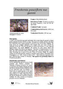 Flora of Australia / Frankenia pauciflora / Halophytes / Natural history of Australia / Geography of Australia / Flinders Island / Tasmania / Goose Island / Frankeniaceae / Flora of Tasmania / Bass Strait / Furneaux Group