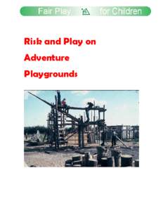 Risk and Play on Adventure Playgrounds Expanded notes from a presentation made by Tony Chilton March 2004