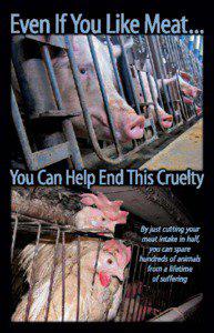 Oppose the Cruelties of Factory Farming  Thank you for accepting this booklet.