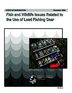 Fish and Wildlife Issues Related to the Use of Lead Fishing Gear