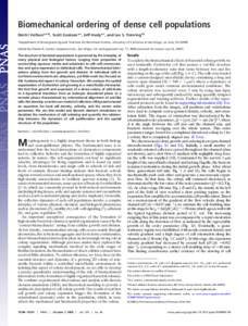 Biomechanical ordering of dense cell populations Dmitri Volfson*†‡§, Scott Cookson*‡, Jeff Hasty*†, and Lev S. Tsimring†¶ *Department of Bioengineering and †Institute for Nonlinear Science, University of Ca