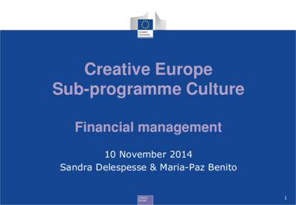 Creative Europe Sub-programme Culture Financial management 10 November 2014 Sandra Delespesse & Maria-Paz Benito 1