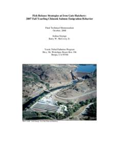 Evaluation of Chinook Salmon Release Strategies at Iron Gate Hatchery:
