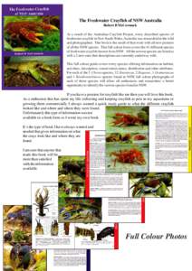 The Freshwater Crayfish of NSW Australia Robert B McCormack As a result of the Australian Crayfish Project, every described species of freshwater crayfish in New South Wales, Australia was researched in the wild and phot