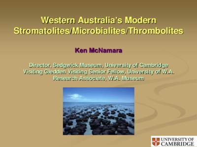 Western Australia’s Modern Stromatolites/Microbialites/Thrombolites Ken McNamara Director, Sedgwick Museum, University of Cambridge Visiting Gledden Visiting Senior Fellow, University of W.A. Research Associate, W.A. M