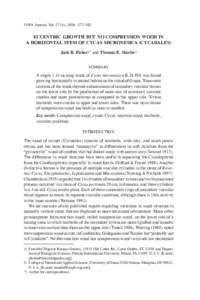 IAWA Journal, Vol), 2006: 377–382  ECCENTRIC GROWTH BUT NO COMPRESSION WOOD IN A HORIZONTAL STEM OF CYCAS MICRONESICA (CYCADALES) Jack B. Fisher1* and Thomas E. Marler2 SUMMARY