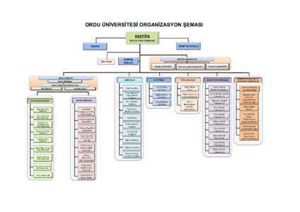 ORDU ÜNİVERSİTESİ ORGANİZASYON ŞEMASI REKTÖR Prof.Dr.Tarık YARILGAÇ YÖNETİM KURULU  SENATO