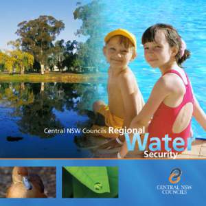 Central NSW Councils Regional  Security 1