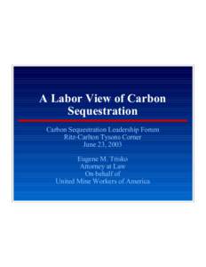 A Labor View of Carbon Sequestration Carbon Sequestration Leadership Forum Ritz-Carlton Tysons Corner June 23, 2003 Eugene M. Trisko