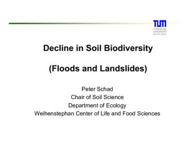 Decline in Soil Biodiversity (Floods and Landslides) Peter Schad Chair of Soil Science Department of Ecology Weihenstephan Center of Life and Food Sciences