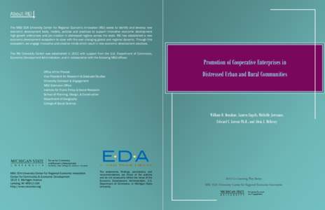 About REI The MSU EDA University Center for Regional Economic Innovation (REI) seeks to identify and develop new economic development tools, models, policies and practices to support innovative economic development high-