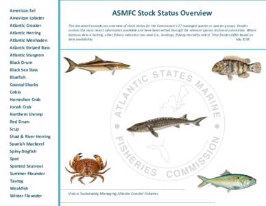 Fishing / Fisheries science / Fish / Atlantic menhaden / Stock assessment / Overfishing / Menhaden / Fish stock / Overexploitation / Fish mortality / Sustainable fishery / Weakfish