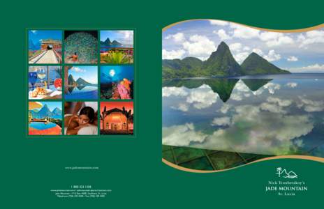 Hardstone carving / Infinity edge pool / Landscape architecture / Resort / JADE / Saint Lucia / Data management / Visual arts / Computing