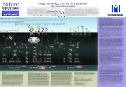 Innate immunity: sensing and signalling Eicke Latz and Katherine A. Fitzger ald In response to microbial products, distinct families of pattern-r ecognition receptors initiate intracellular signalling events that lead to