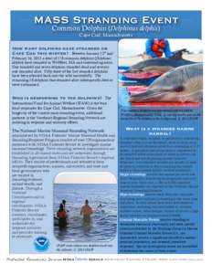 2012 Cape Cod Mass Stranding Fact Sheet