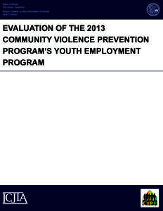 State of Illinois Pat Quinn, Governor Illinois Criminal Justice Information Authority Jack Cutrone  Evaluation of the 2013