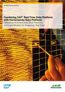 SAP Real-Time Solutions for Data Cross-Industry Platform Name/Industry Solution Name