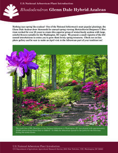 U.S. National Arboretum Plant Introduction  Rhododendron Glenn Dale Hybrid Azaleas Nothing says spring like azaleas! One of the National Arboretum’s most popular plantings, the Glenn Dale Azaleas draw thousands for ann