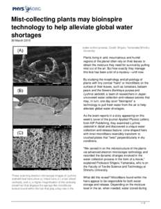 Mist-collecting plants may bioinspire technology to help alleviate global water shortages