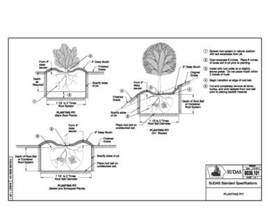 1  Spread root system in natural position with soil excavated from pit.  2