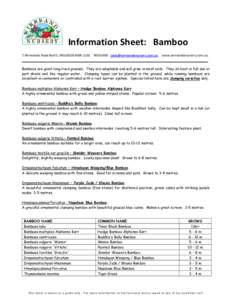 Information Sheet: Bamboo 7 Wirreanda Road North, INGLESIDE NSW[removed]sales@wirreandanur sery.com.au www.wirreandanursery.com.au  Bamboos are giant long-lived grasses. They are adaptable and will grow in most soi