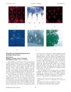PHYSICS OF FLUIDS  VOLUME 13, NUMBER 9 Streamlets and Branching Dynamics in Surfactant Driven Flow