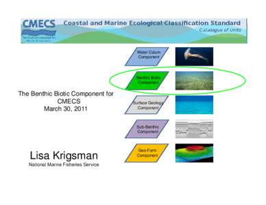 Water Colum Component Benthic Biotic Component