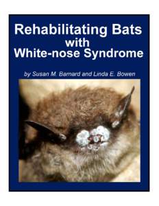 Rehabilitating Bats with White-nose Syndrome by Susan M. Barnard and Linda E. Bowen  Published in the United States of America