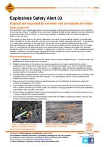 DNRM single column fact sheet - orange