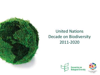 Millennium Development Goals / Earth / United Nations Decade on Biodiversity / Environmental science / Environmental social science / Sustainable development / Biodiversity Indicators Partnership / Green Development Initiative / Biodiversity / Environment / Biology