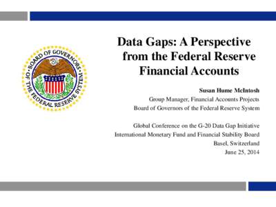 Data Gaps: A Perspective from the Federal Reserve Financial Accounts